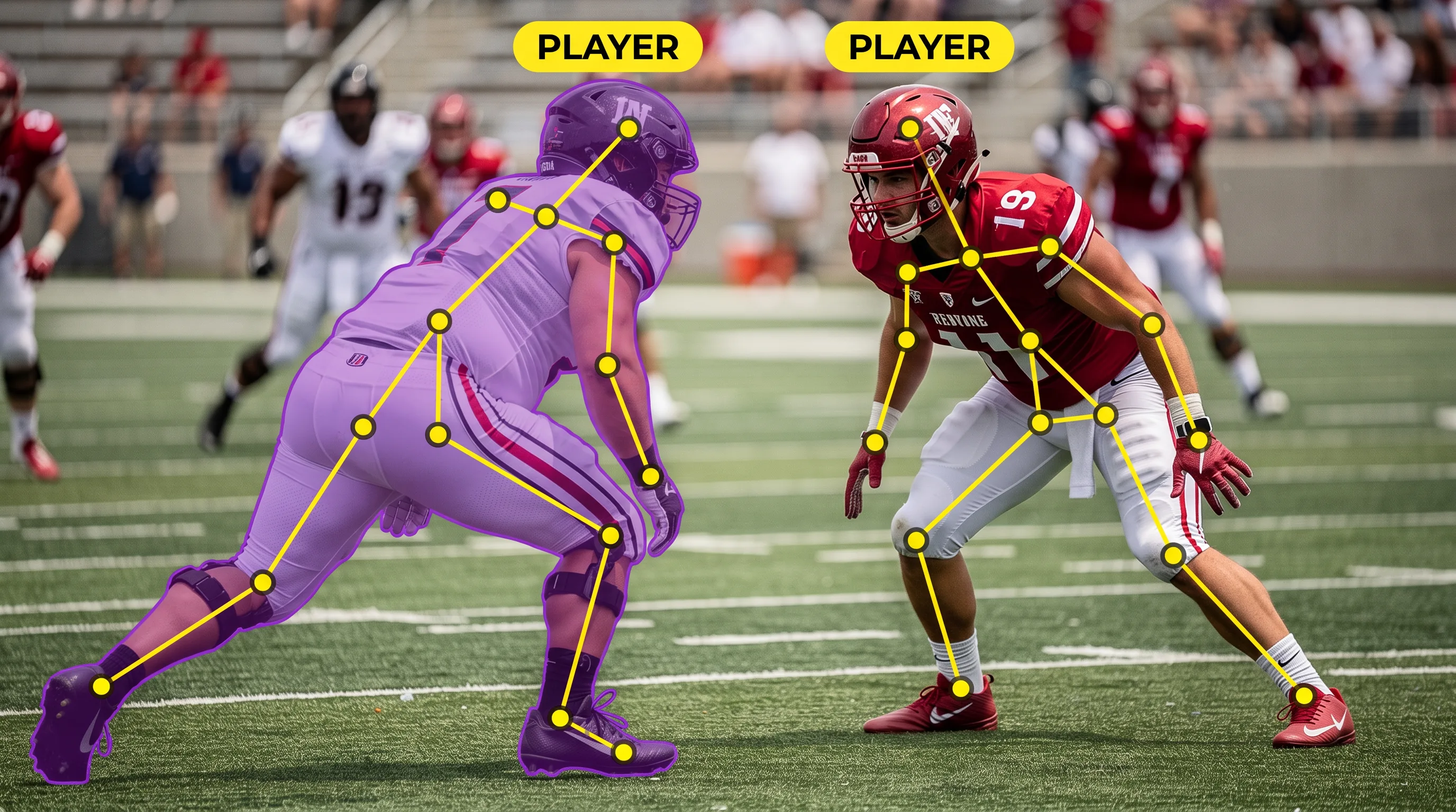 Keypoints & Polylines after annotation